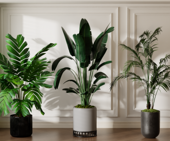 Modern Ground Green Plant Potted Plants-ID:951313977