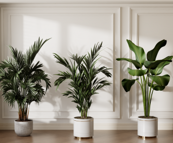 Modern Ground Green Plant Potted Plants-ID:809417012