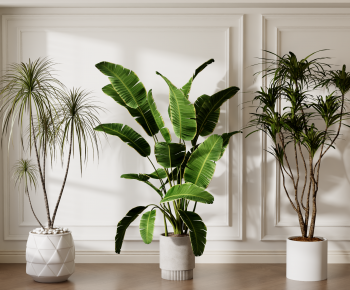 Modern Ground Green Plant Potted Plants-ID:339300675