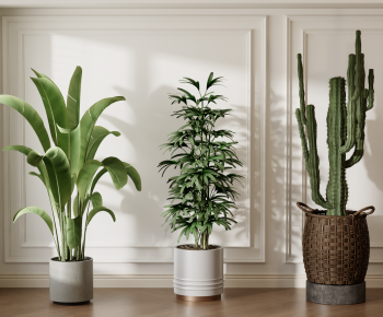 Modern Ground Green Plant Potted Plants-ID:732631924