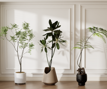 Modern Ground Green Plant Potted Plants-ID:456866037