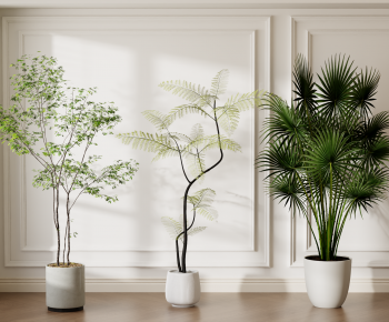 Modern Ground Green Plant Potted Plants-ID:806705005