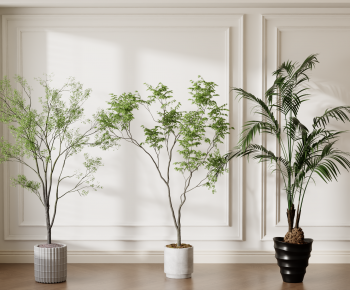 Modern Ground Green Plant Potted Plants-ID:756371023
