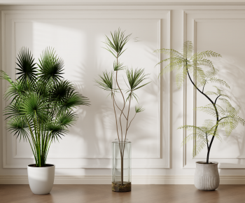 Modern Ground Green Plant Potted Plants-ID:642318011