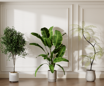Modern Ground Green Plant Potted Plants-ID:443387997