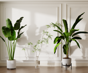 Modern Ground Green Plant Potted Plants-ID:440440244