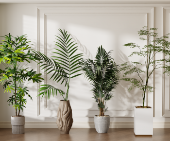 Modern Ground Green Plant Potted Plants-ID:986387014