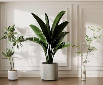 Modern Ground Green Plant Potted Plants-ID:942246914