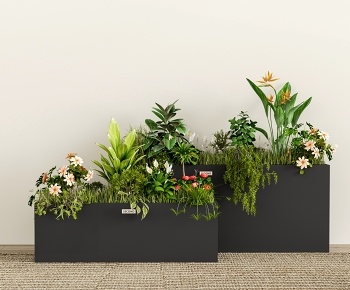 现代绿植盆栽 植物花箱3D模型