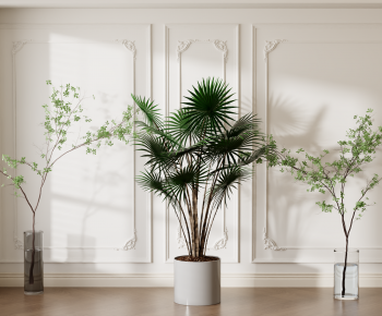 Modern Ground Green Plant Potted Plants-ID:178180934