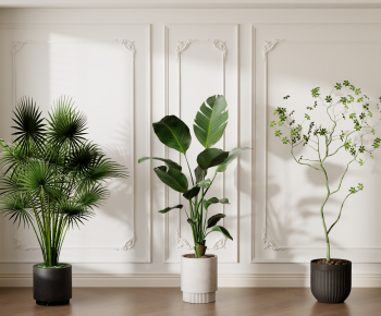 Modern Ground Green Plant Potted Plants-ID:761367081