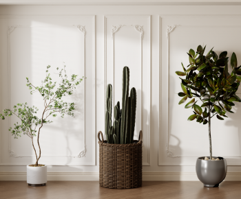 Modern Ground Green Plant Potted Plants-ID:800446997