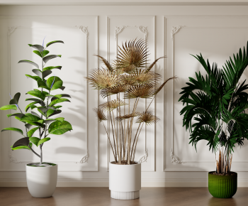 Modern Ground Green Plant Potted Plants-ID:987571007