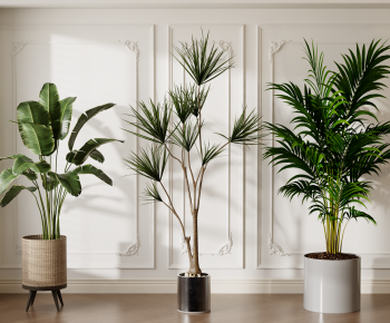Modern Ground Green Plant Potted Plants-ID:717145929