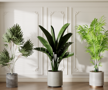 Modern Ground Green Plant Potted Plants-ID:279431102