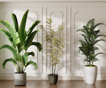 Modern Ground Green Plant Potted Plants-ID:632982026