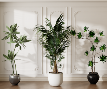 Modern Ground Green Plant Potted Plants-ID:183932074