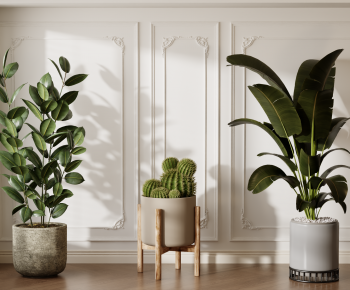 Modern Ground Green Plant Potted Plants-ID:414963018