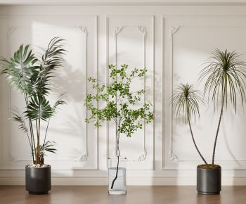Modern Ground Green Plant Potted Plants-ID:561032067