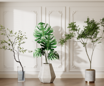 Modern Ground Green Plant Potted Plants-ID:433275941
