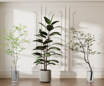 Modern Ground Green Plant Potted Plants-ID:400063047