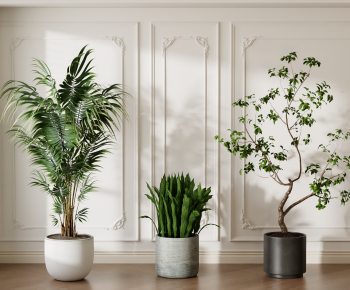 Modern Ground Green Plant Potted Plants-ID:480516918