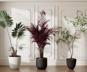 Modern Ground Green Plant Potted Plants-ID:646707069