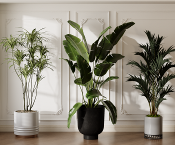 Modern Ground Green Plant Potted Plants-ID:638034112