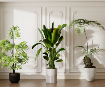Modern Ground Green Plant Potted Plants-ID:534135107