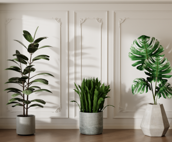 Modern Ground Green Plant Potted Plants-ID:682127009
