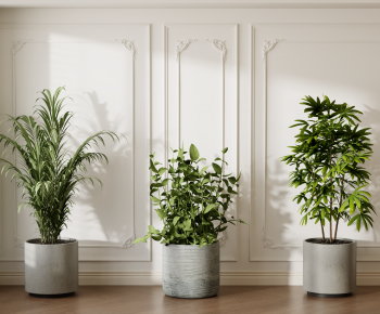 Modern Ground Green Plant Potted Plants-ID:894859081