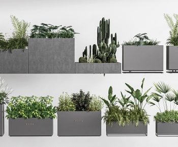 现代外摆花箱  盆栽植物3D模型