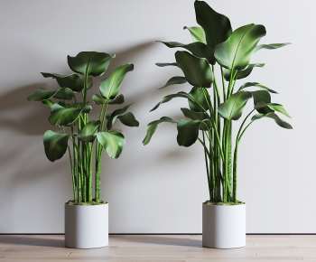 Modern Ground Green Plant Potted Plants-ID:906050294