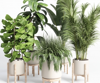 Modern Ground Green Plant Potted Plants-ID:522397042