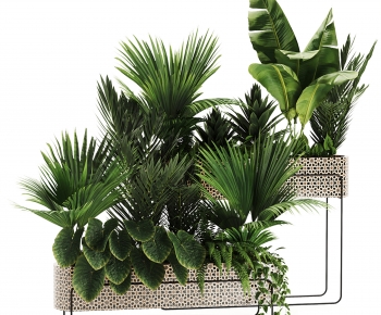 Modern Potted Green Plant-ID:793179998