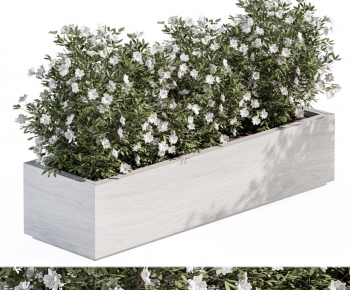 Modern Flower Bed, Flower Bowl, Flower Box-ID:859661104