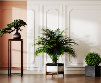 Modern Ground Green Plant Potted Plants-ID:885349042