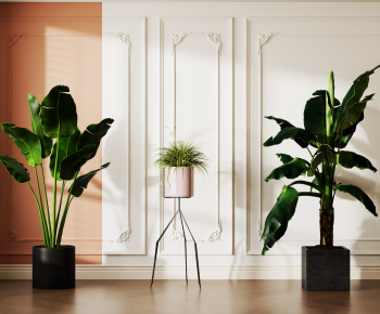 Modern Ground Green Plant Potted Plants-ID:166264068