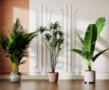 Modern Ground Green Plant Potted Plants-ID:551681047