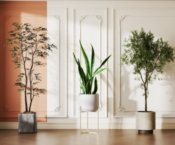 Modern Ground Green Plant Potted Plants-ID:885529047