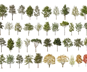 现代景观树组合3D模型