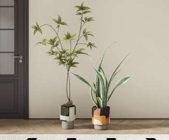 Modern Ground Green Plant Potted Plants-ID:929960972