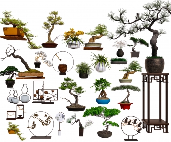 新中式盆景盆栽 造型松-ID:202697997