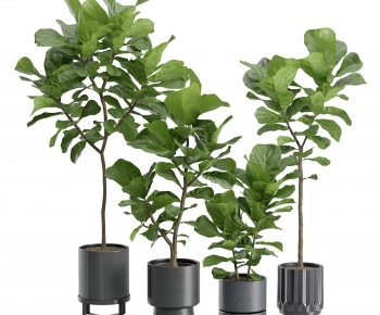 Modern Ground Green Plant Potted Plants-ID:611182939