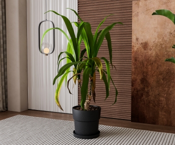 Modern Ground Green Plant Potted Plants-ID:372629282