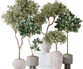 Modern Ground Green Plant Potted Plants-ID:894551041
