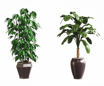 Modern Ground Green Plant Potted Plants-ID:825450905