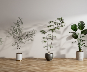 Modern Ground Green Plant Potted Plants-ID:688226943