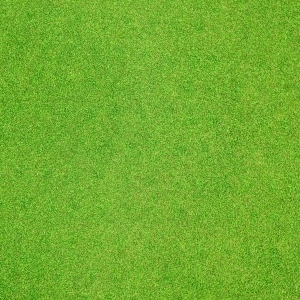 ModernGrass