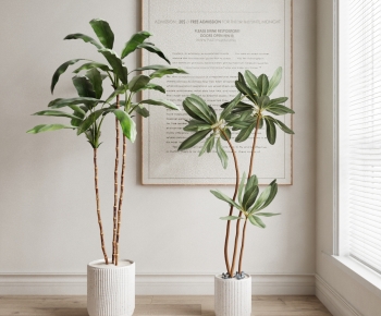 Modern Potted Green Plant-ID:451268918